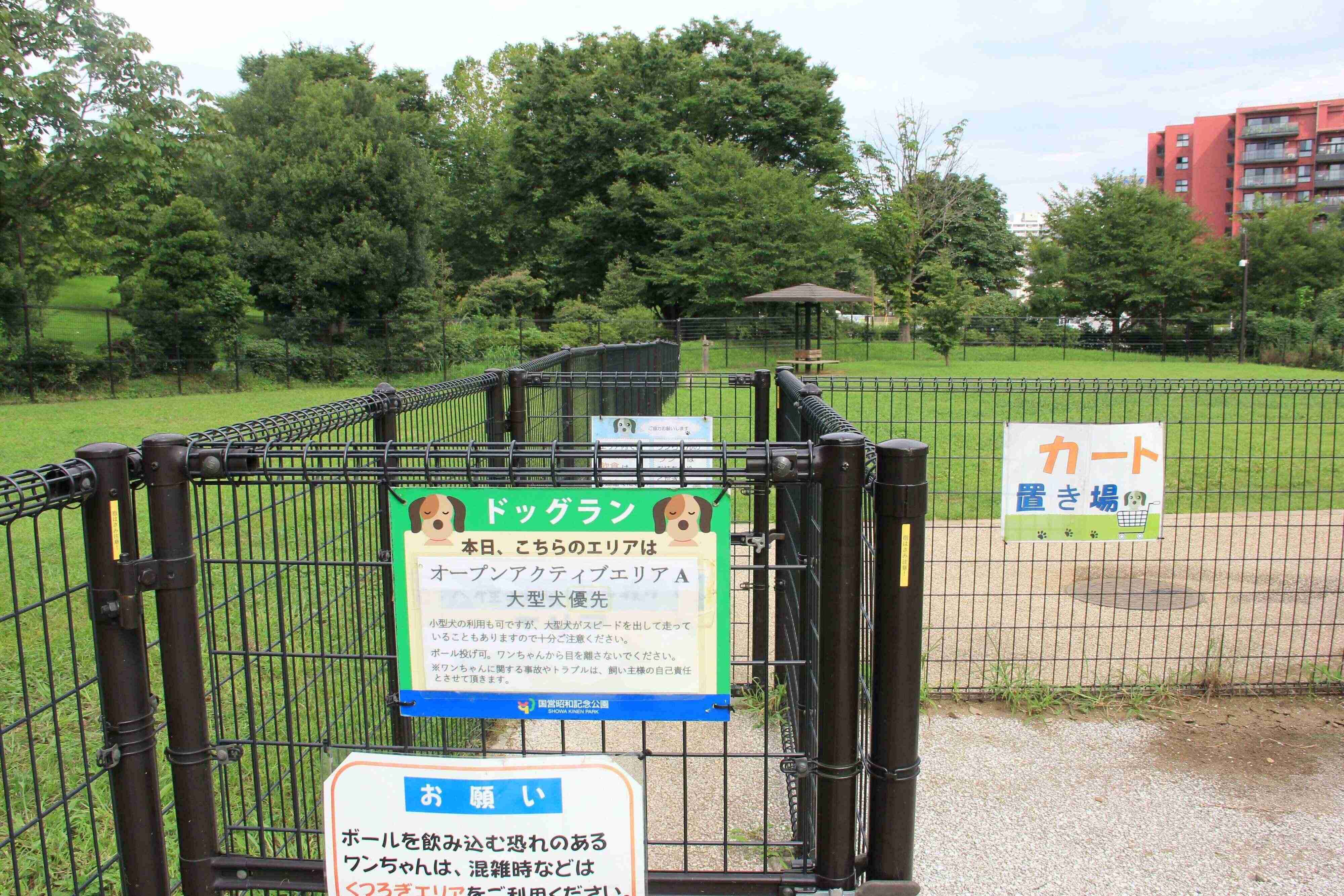 ドッグランの大型犬エリア