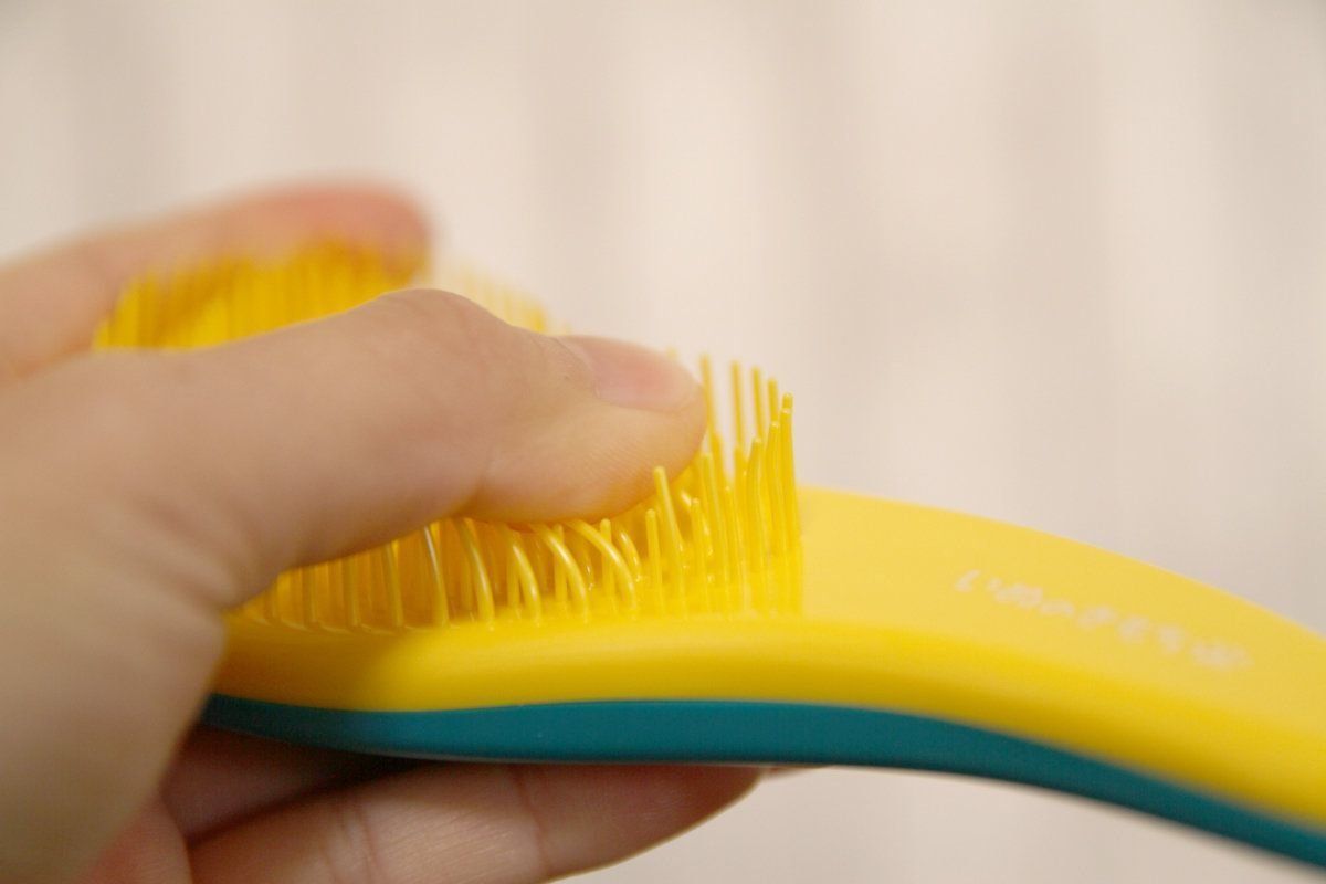 いぬのきもちふろくレポート