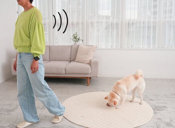 おやつに夢中になっている犬