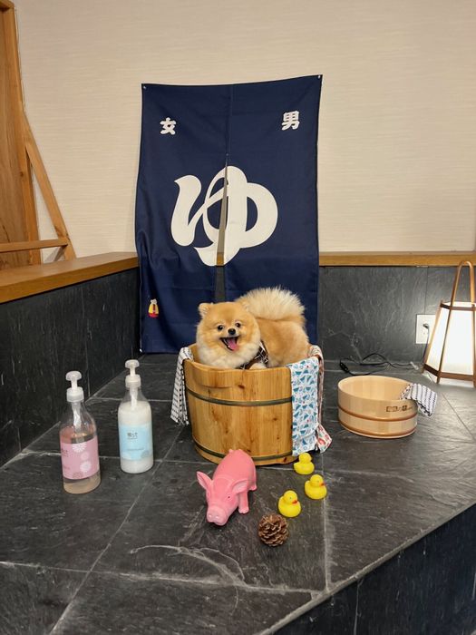 桶に入ったランランちゃん
