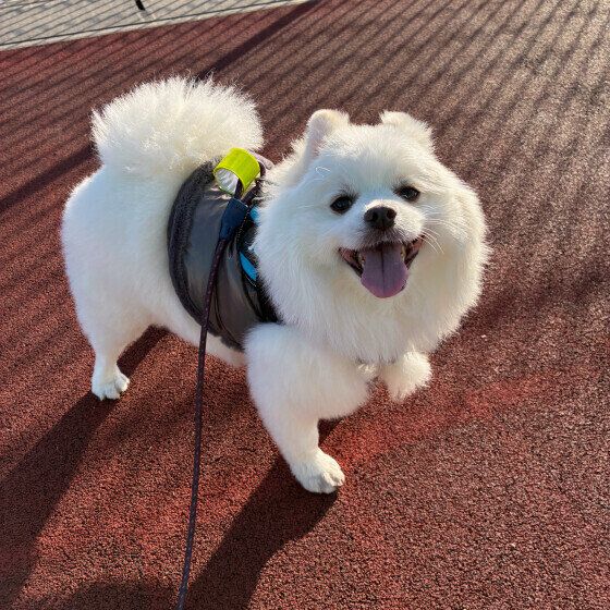 カメラに向かってニコニコ♪