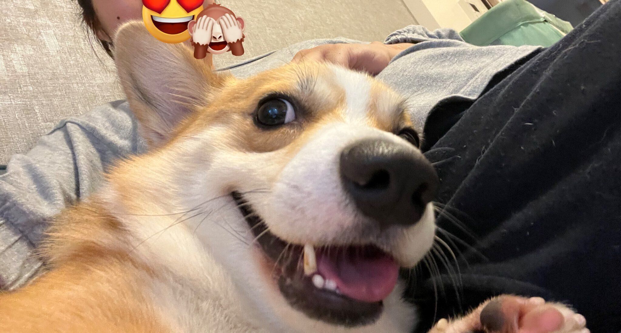 笑顔が可愛いはるたくん