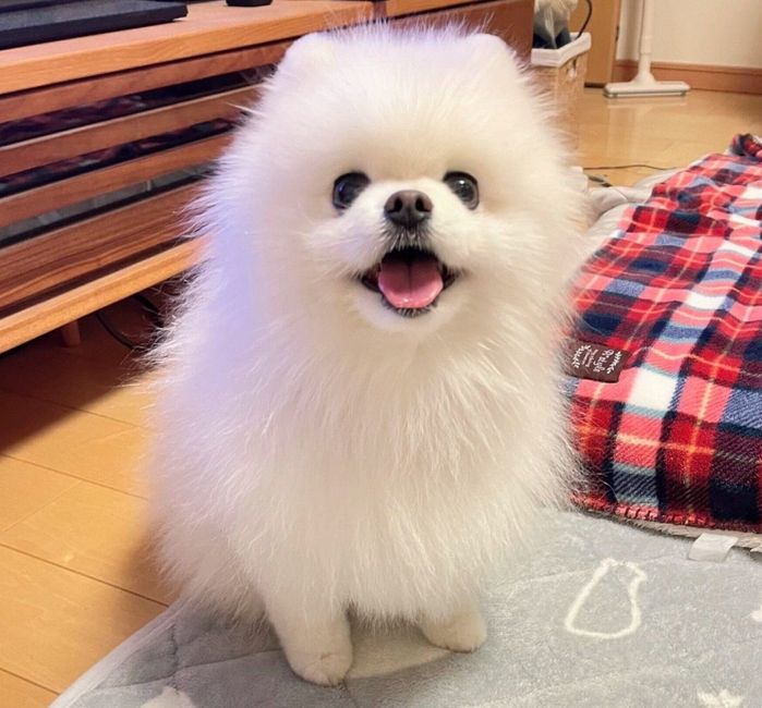 笑顔が可愛いコロンちゃん