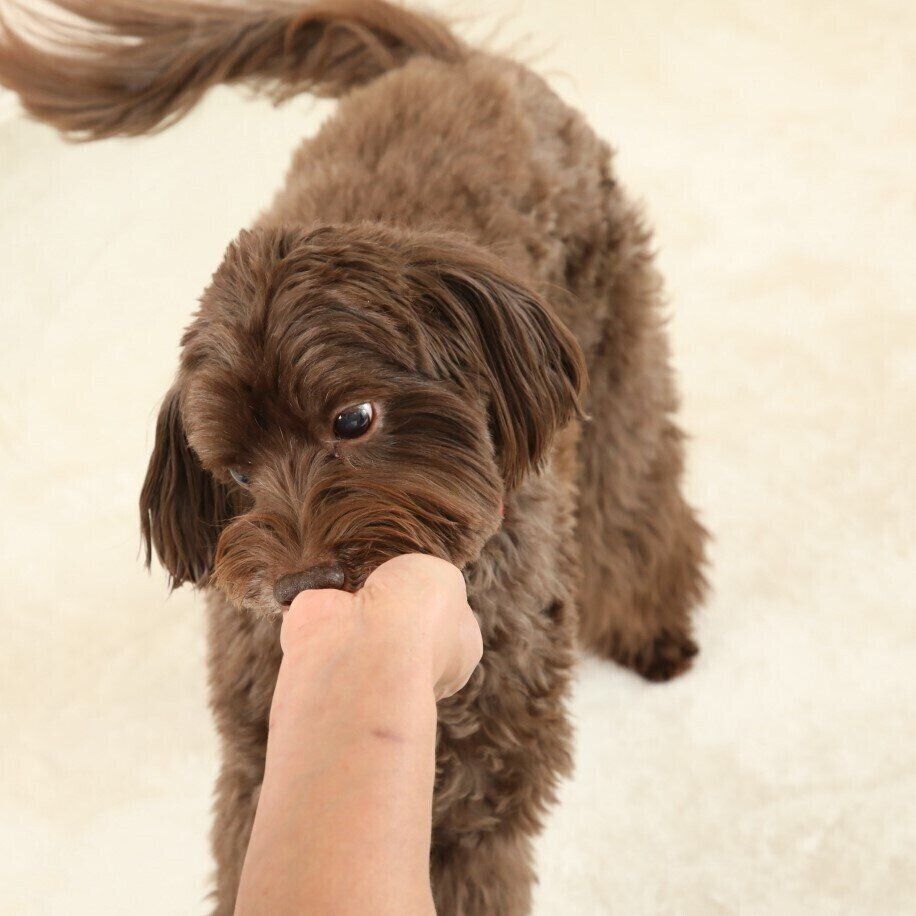 撮影／尾﨑たまき