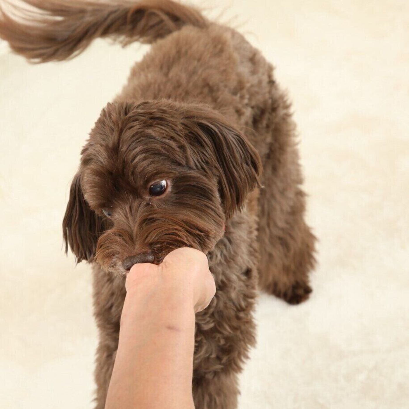 Nfw6nsr4zexnvm Nfw6nsr4zexnvm