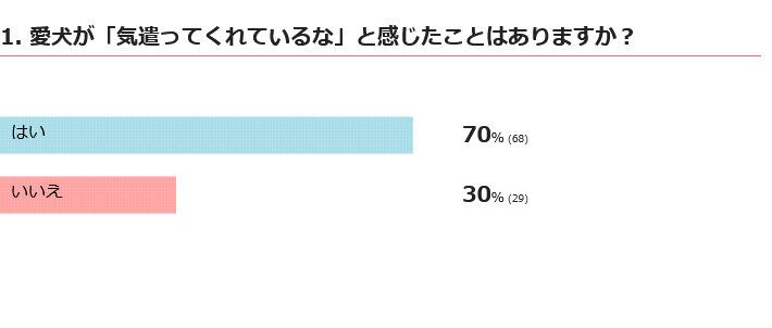 愛犬が気遣ってくれていると感じたことはある？