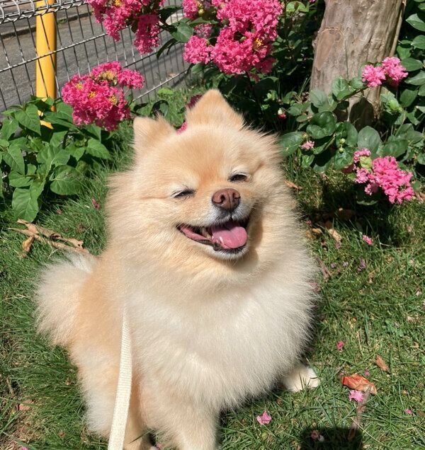 楽しそうなふーちゃん