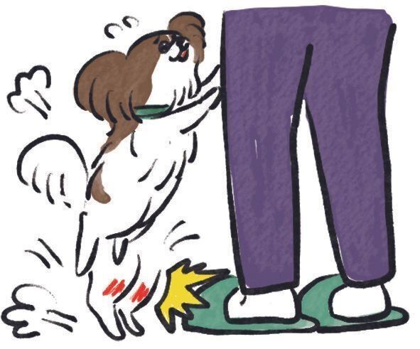 イラスト／SORRY.