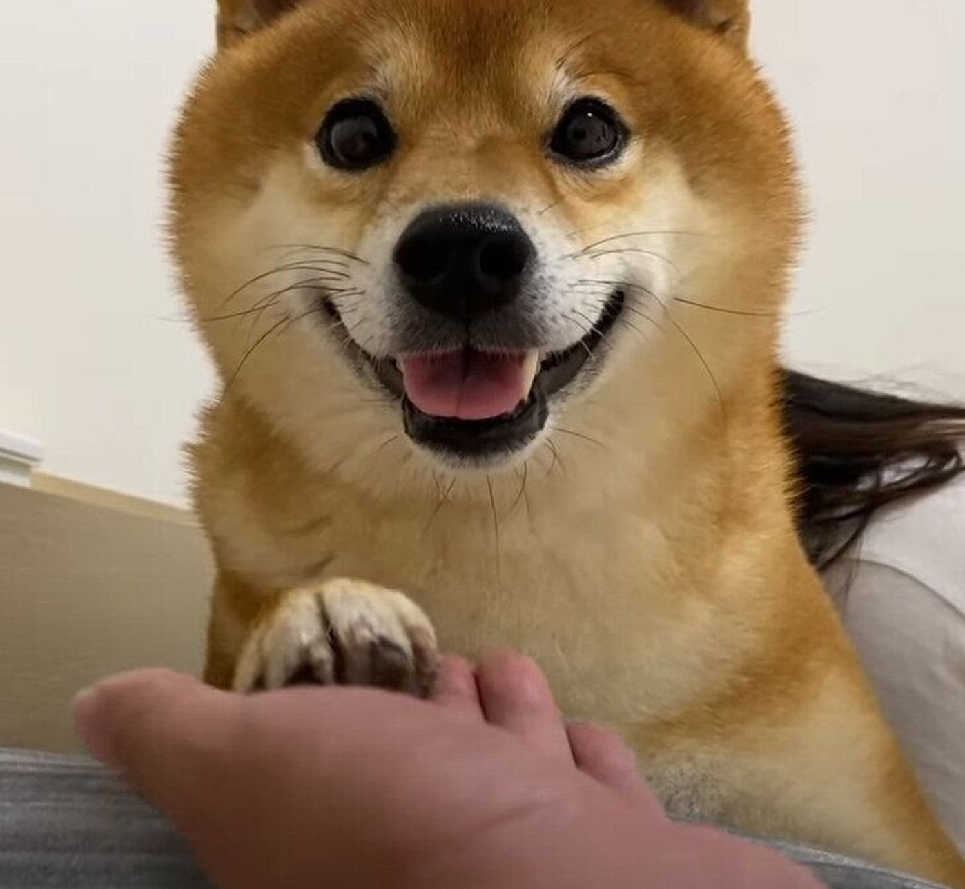 2zjccf6g 38hym 2zjccf6g 38hym