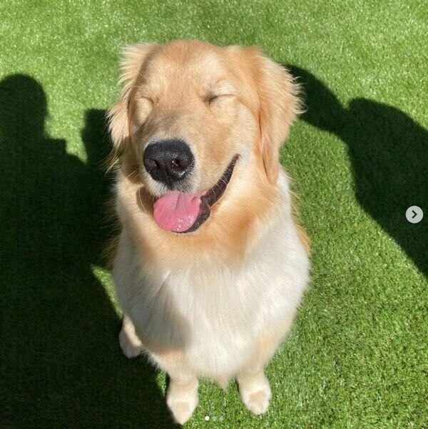 笑顔が可愛い小春ちゃん