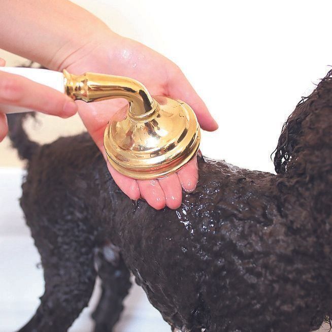 撮影／尾﨑たまき