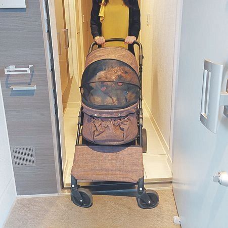 写真提供／青森県 H.K.さん