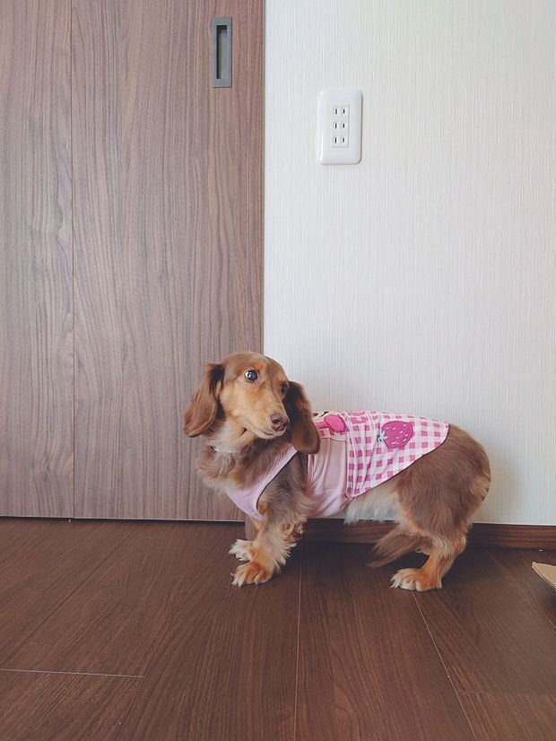 コンセントは高い位置に