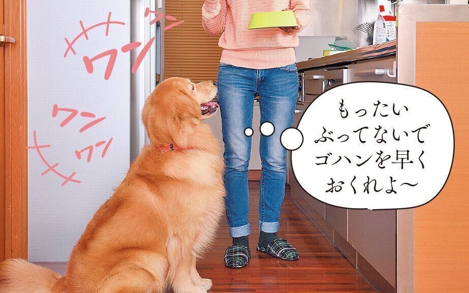 撮影／佐藤正之