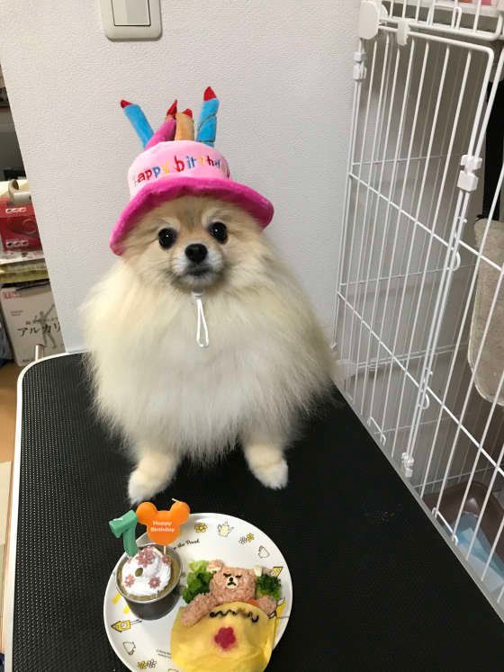 7歳のお誕生日、帽子が似合ってる♪