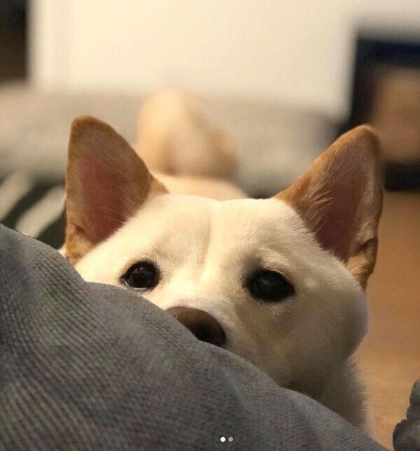 見つめるつきちゃん