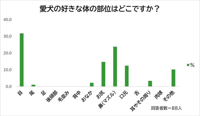 愛犬の好きな体の部位は?