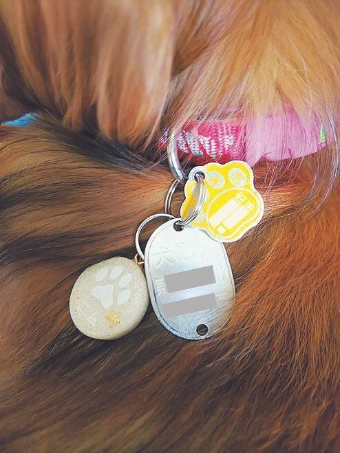 写真提供／A.A.さん