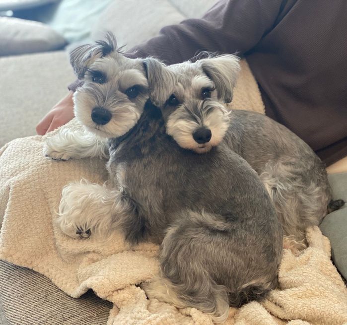 HugoくんとCocoちゃん 性格は“真逆”でもとっても仲よしなのだとか