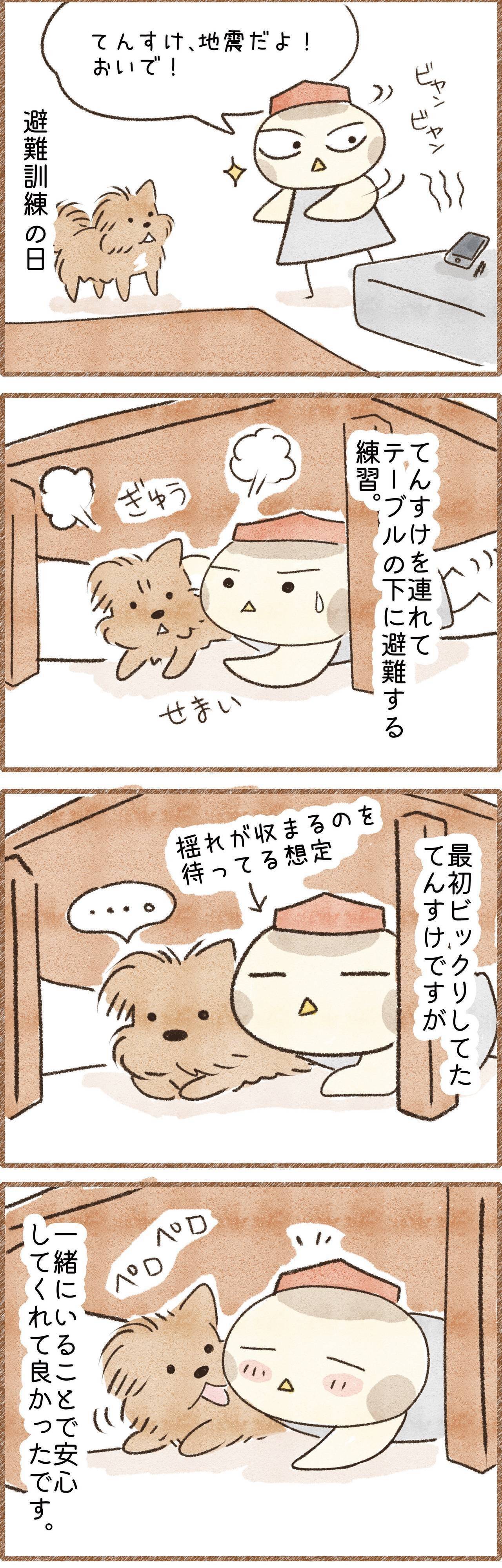 愛犬と一緒に避難訓練をやってみた話