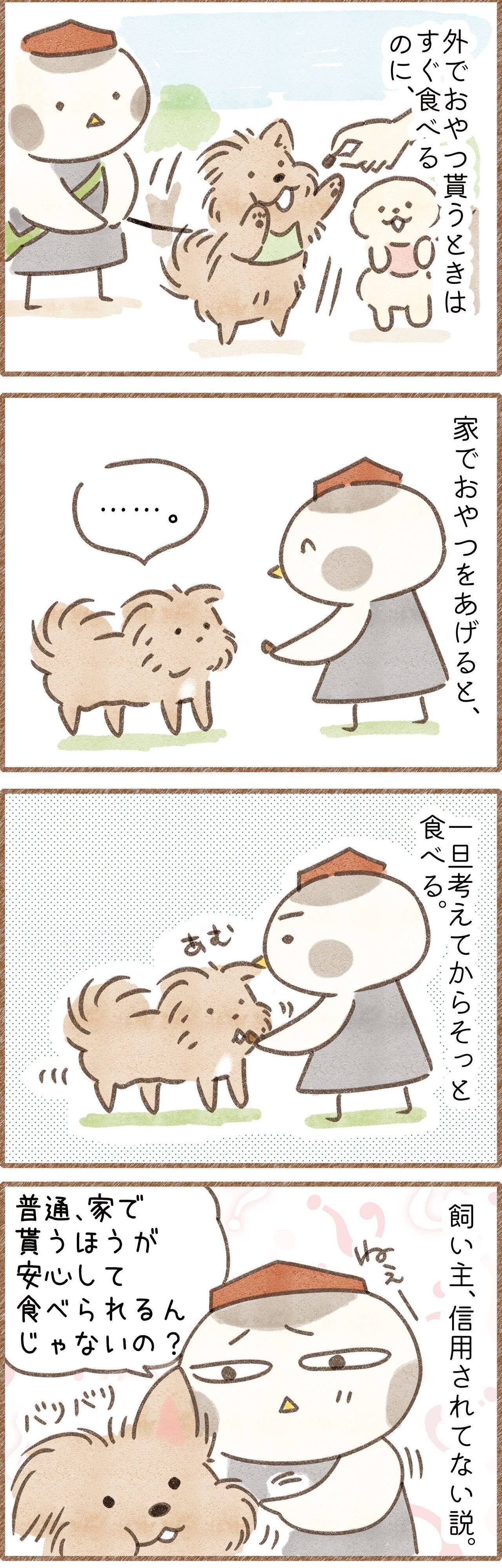 何故か家だと勢いよくおやつを食べない犬のマンガ