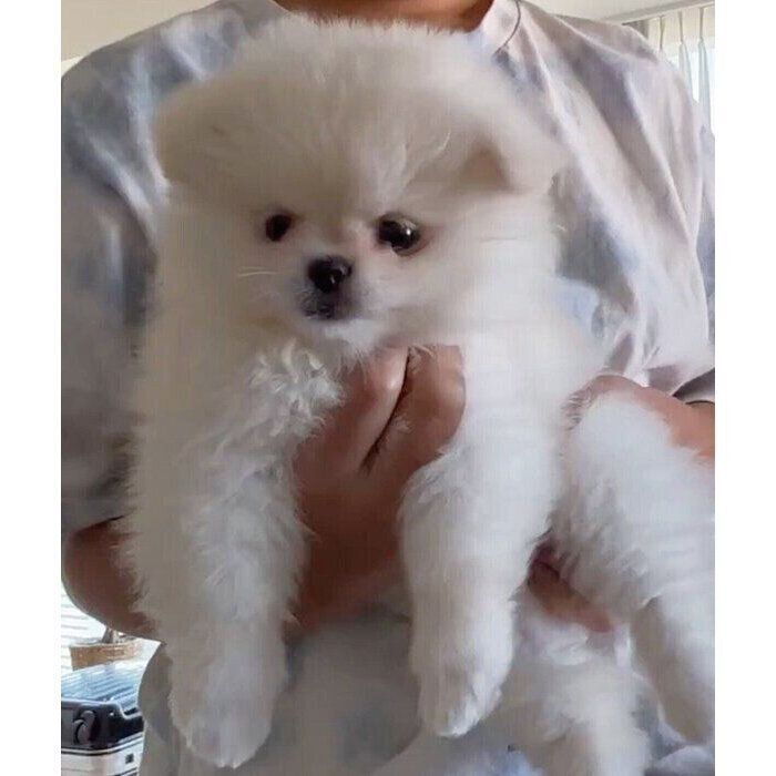生後3カ月のころに撮影したなんこつちゃん