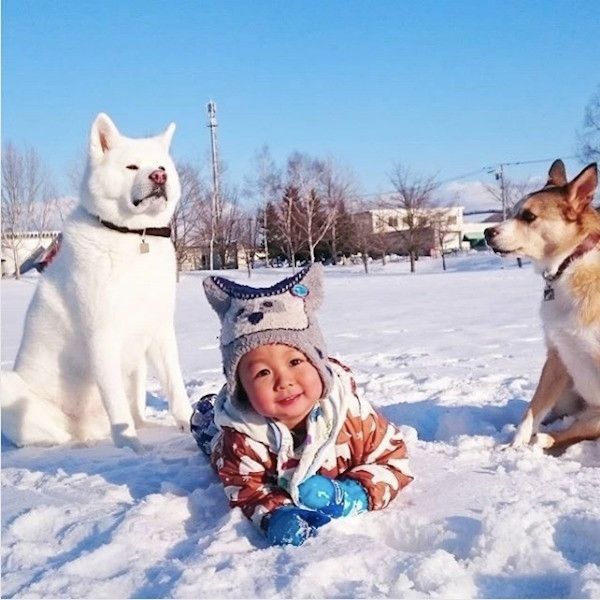 ワンコと子ども