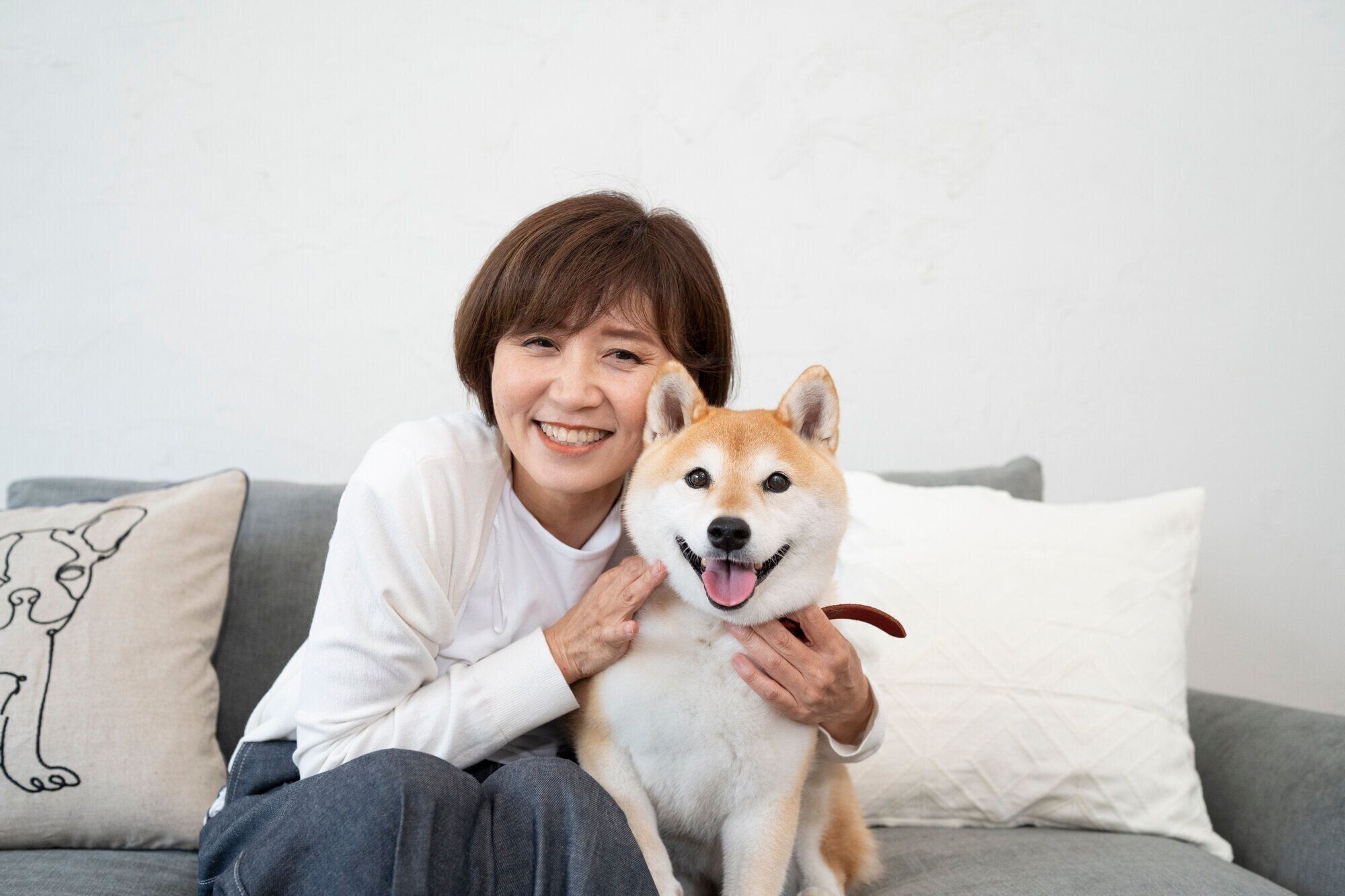 トロちゃん　柴