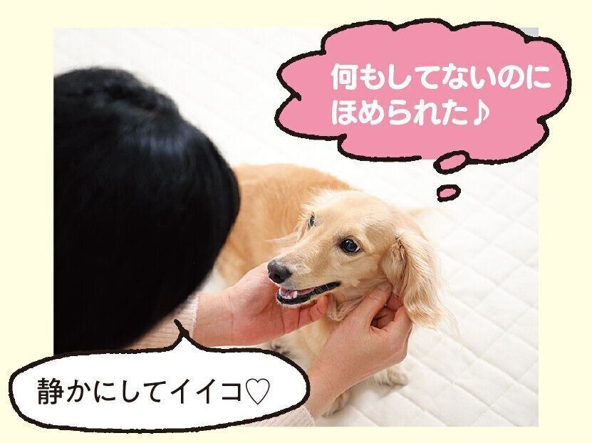 撮影／尾﨑たまき