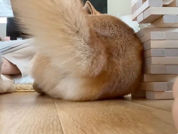 ジェンガの脇に座るりんご郎くん