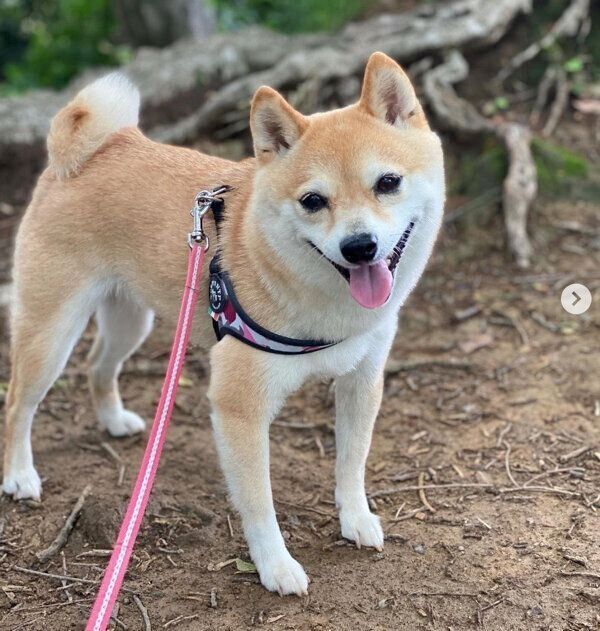 笑顔が可愛いすずちゃん