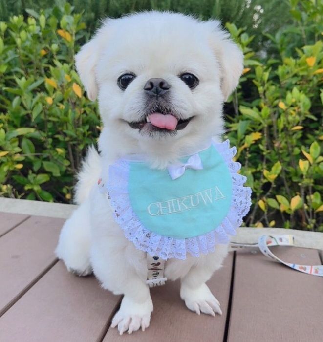 ニコッとするちくわくん