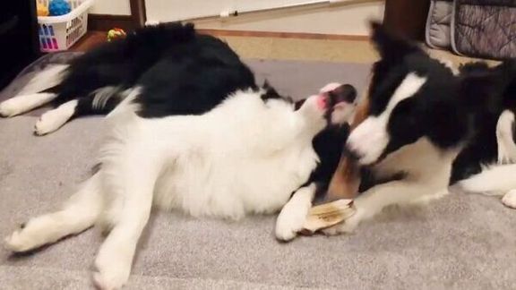 おやつを食べるチロルくんとノエルちゃん