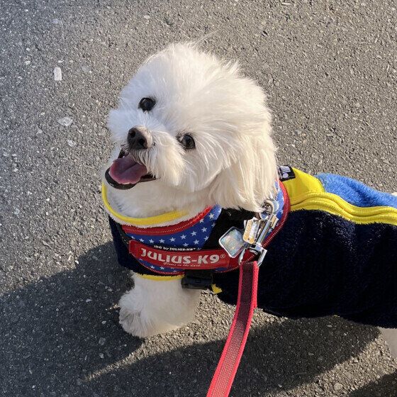 嬉しそうな凪ちゃん