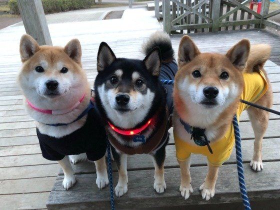 仲良しの3ショット！