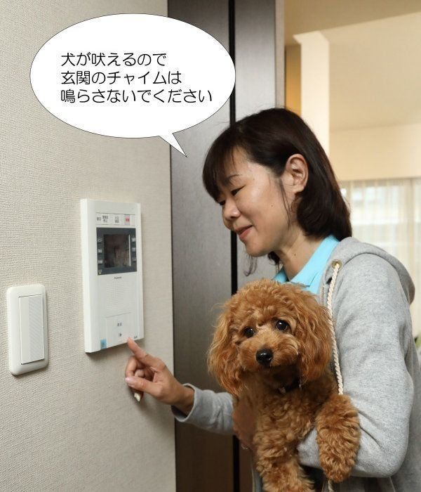 すぐわかる すぐできる 吠えグセ直し集中講座 いぬのきもちweb Magazine