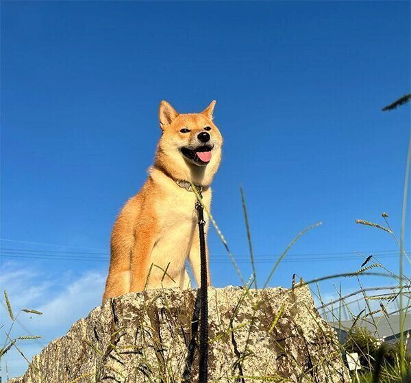 笑顔のはじめくん