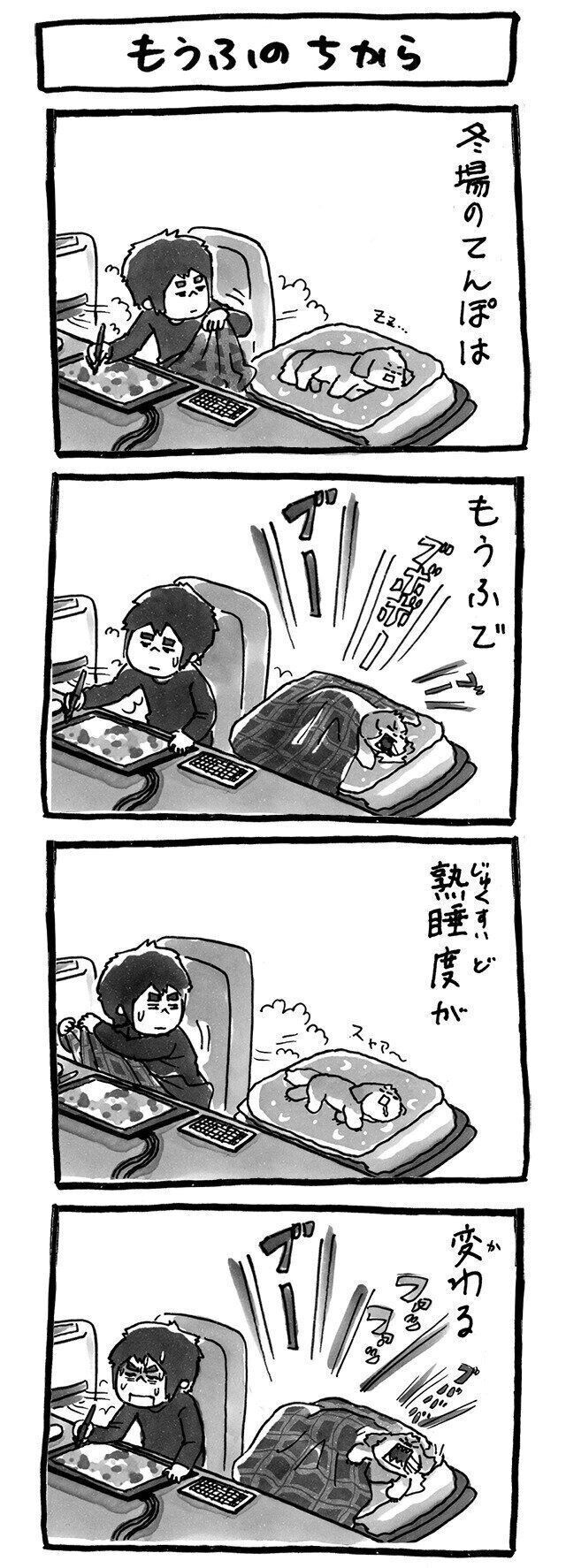 連載「シーズー犬のてんぽ」