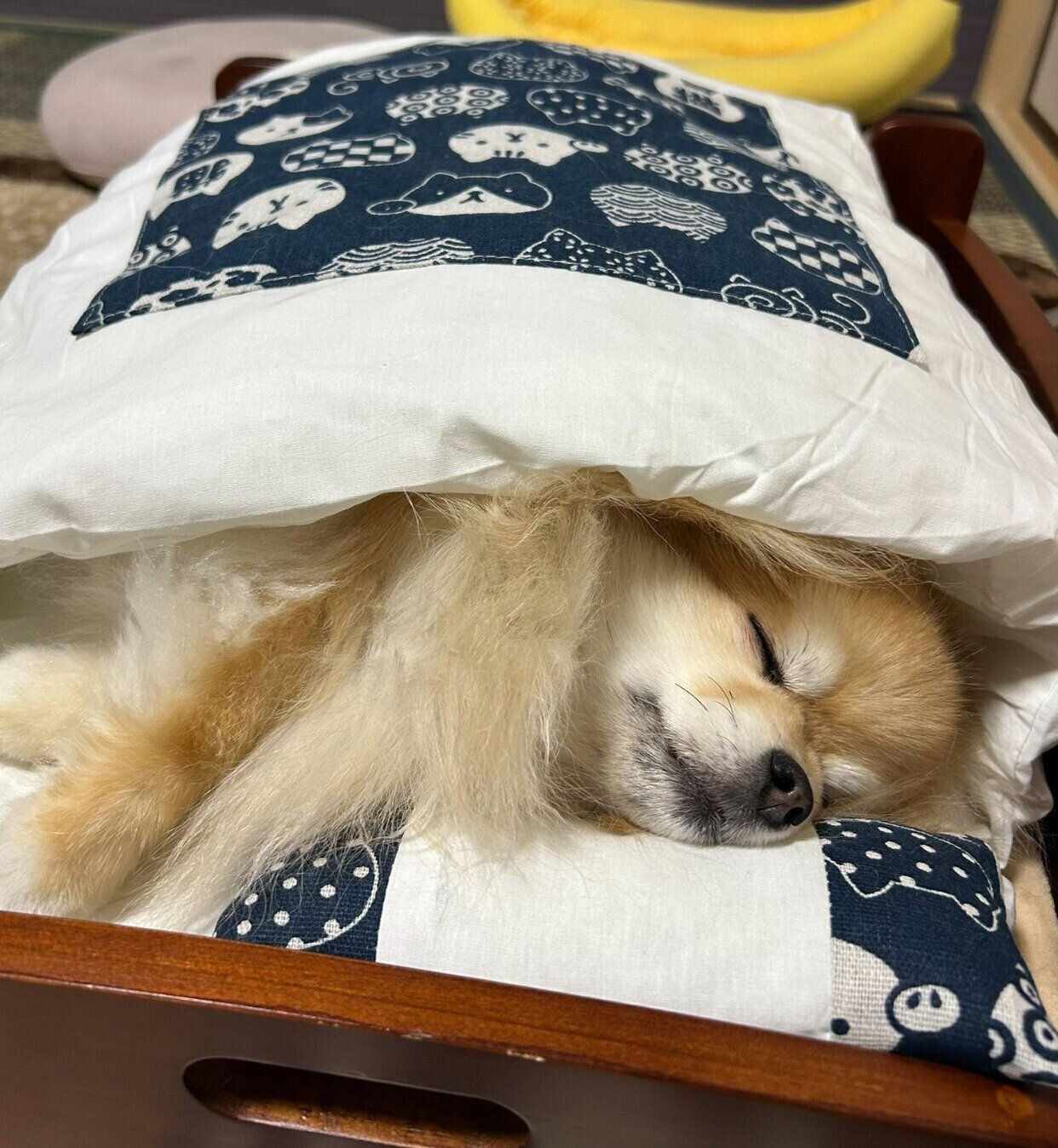 布団の中でぐっすり眠るいぶきちゃん