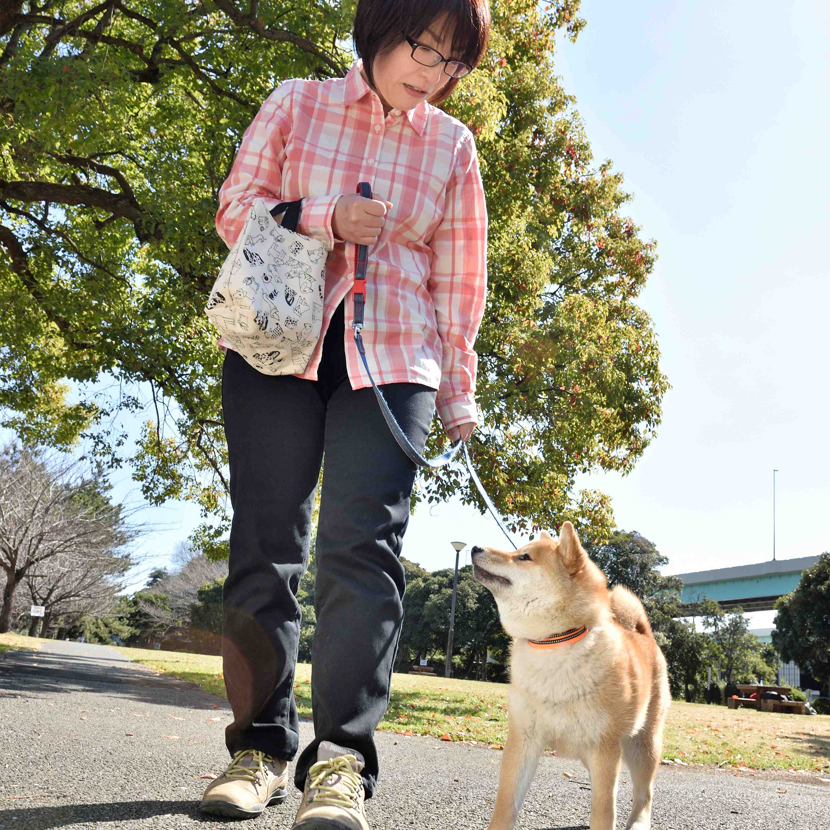 「いぬのきもち」2018年6月号