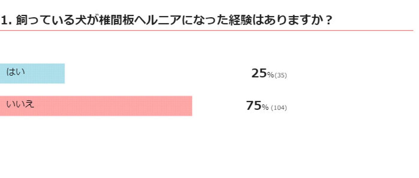 獣医師監修 犬の椎間板ヘルニアの原因とおうちでのケア いぬのきもちweb Magazine 獣医師監修 犬の椎間板ヘルニアの原因とおうちでのケア いぬのきもちweb Magazine