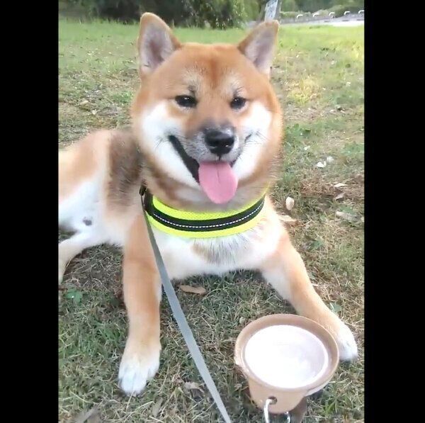 笑顔のおにぎりくん