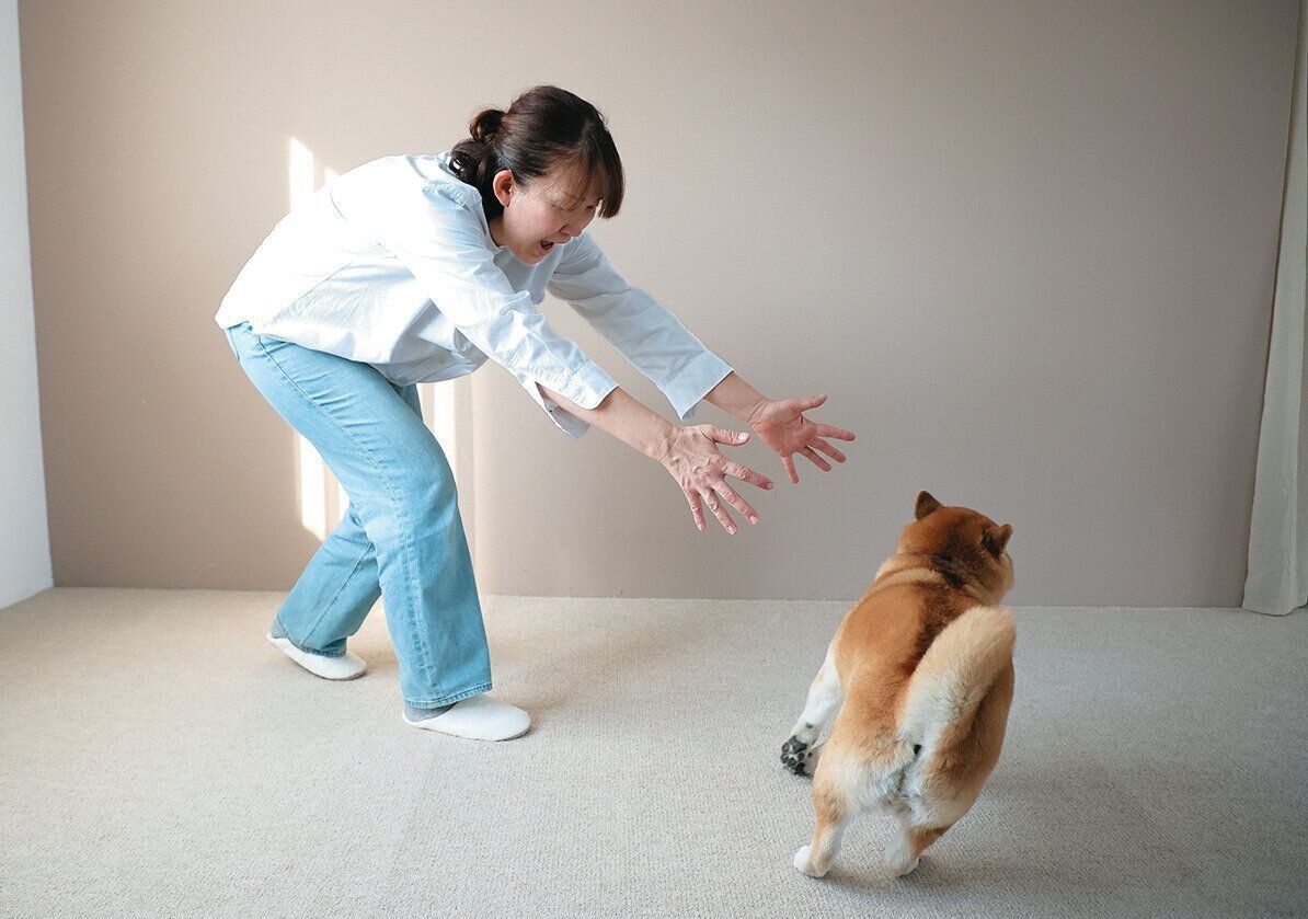 飼い主の手を避ける犬