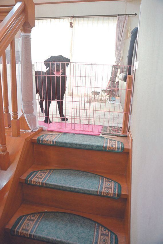 撮影／犬丸美絵