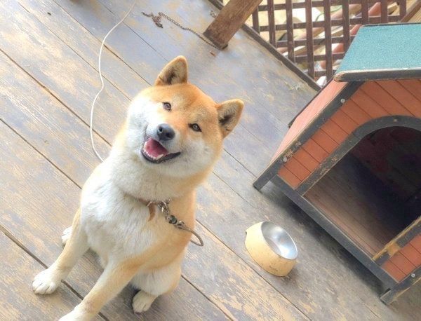 笑顔のそらくん