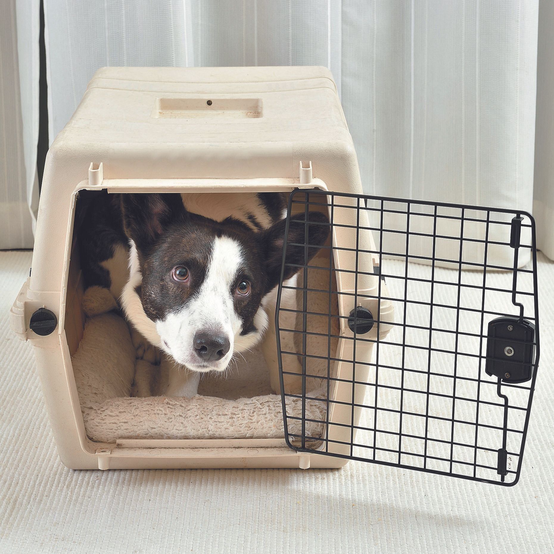 撮影／佐藤正之