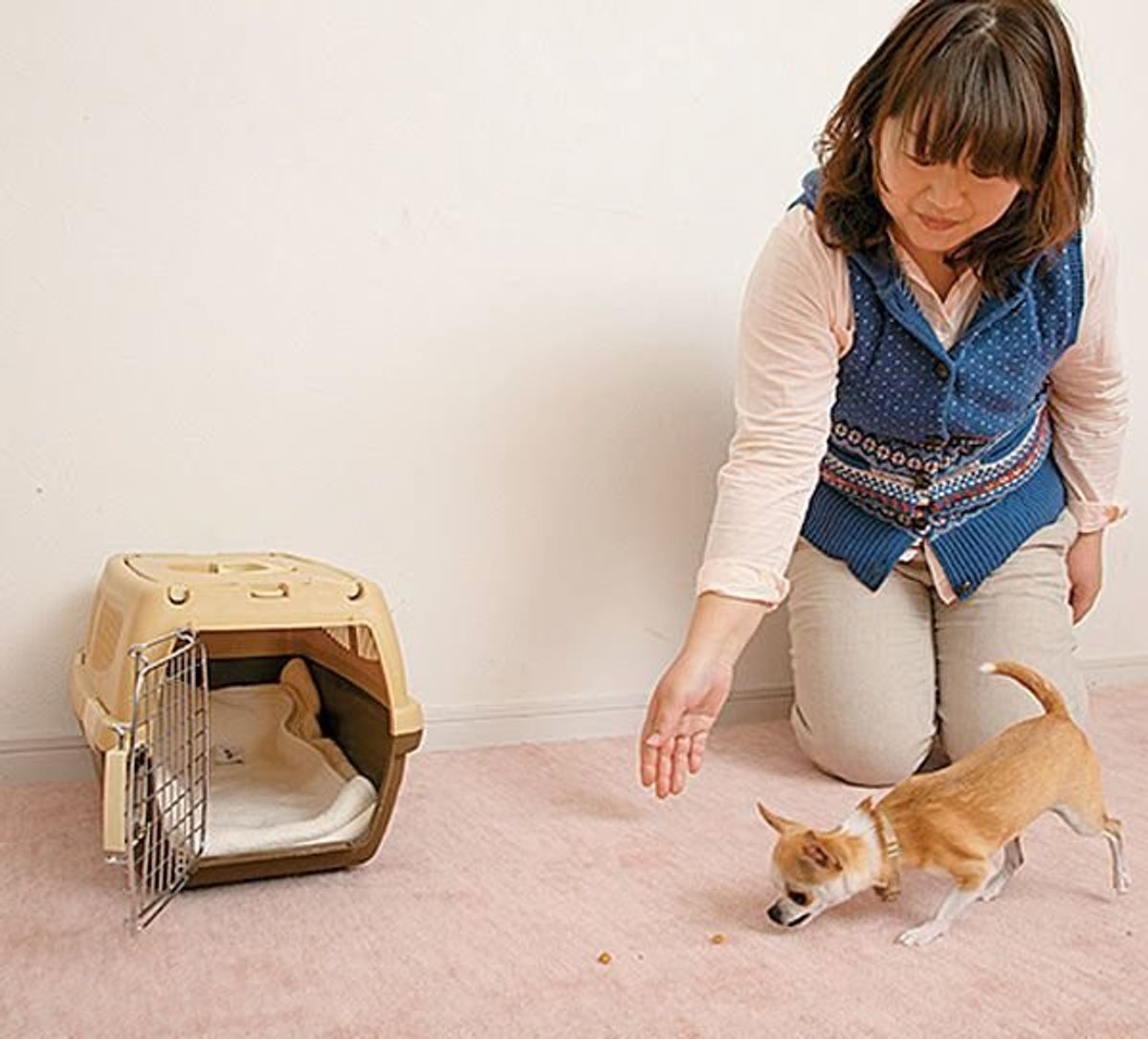 犬も安心 1時間程度の留守番でも愛犬をクレートに入れよう いぬのきもちweb Magazine 犬も安心 1時間程度の留守番でも愛犬をクレートに入れよう いぬのきもちweb Magazine