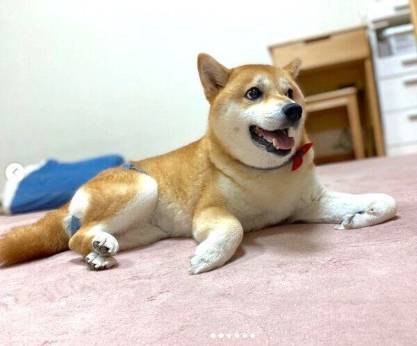 まったりするミクちゃん