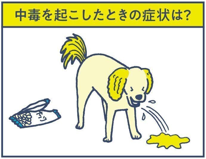 中毒を引き起こすメカニズムはまだわかっていません。しかし、高確率で嘔吐などの症状が出ます