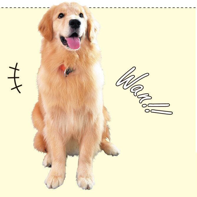 撮影／佐藤正之